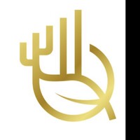 Based Ventures Logo