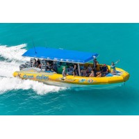 Ocean Rafting - Airlie Beach/Whitsundays Logo