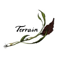 Terrain Logo