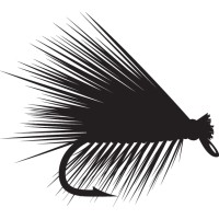 Caddis Consulting Ltd. Logo
