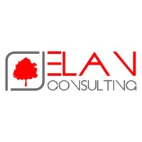 Elan Consulting Logo