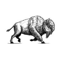 White Buffalo Yoga Logo