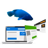 Bluegroper Web Development Logo