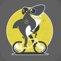 Bondi Bike Shop Logo