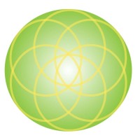 Noosa Holistic Health Logo