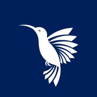 Timpano Legal Logo