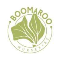 Boomaroo Nurseries Logo