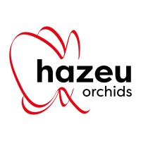 Hazeu Orchids Logo