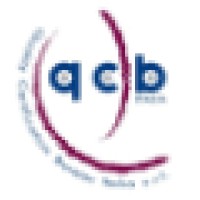 QCB Italia srl Logo