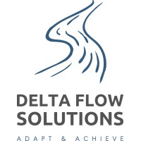 Delta Flow Solutions Logo