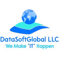 Datasoft Global LLC Logo