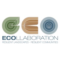 ECOllaboration Logo