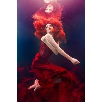 Beth Mitchell Fine Art Logo