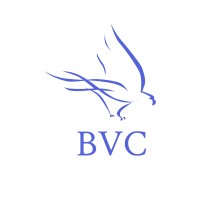 ByrdView Capital Logo