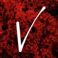 -ivoro.ventures Logo
