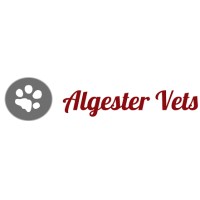 Algester Vet | Pet Wellness | Puppy Preschool | Pet Food | Emergency Pet Care | Logo