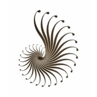 NAUTILUS FRANCE Logo