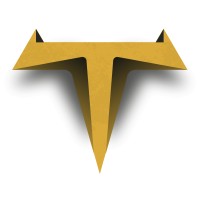 Touro Insights & CO Logo