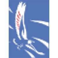 First American Financial Mortgage Corp. Logo