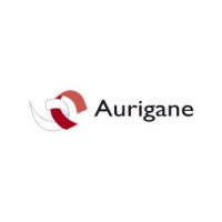Aurigane s.r.l. Logo
