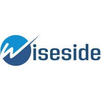 Wiseside Logo