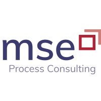 mse Process Consulting LLC Logo