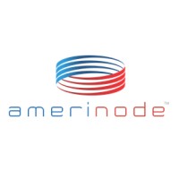 Amerinode Logo