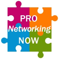 PRO Networking NOW Logo