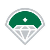 Diamond Baseball Holdings Logo
