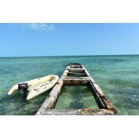 Evolve Wellbeing - Redlands Coast Psychologist Logo