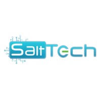 SALT TECH SOFTWARE SERVICES LLP Logo