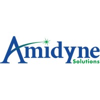 Amidyne Solutions Logo