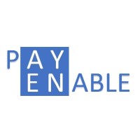 PayEnable Business Solutions Logo