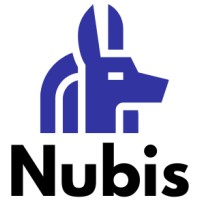 Nubis IT Services | Salesforce Professional Services India Logo