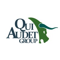 Qui Audet Group, Ltd. Co. Logo