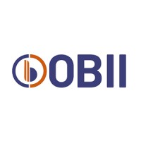 OBII SOLUÇÕES EMPRESARIAIS Logo