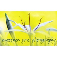 Matthew Syres Photography Logo