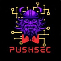 PUSHSEC Logo