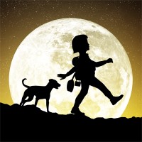 Fellow Traveller Logo