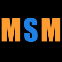 Making Software Makers Logo