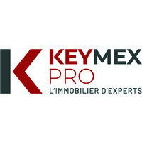 Keymex Pro Logo