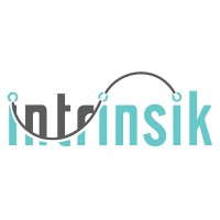 Intrinsik Logo