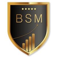 BSM BIG SOCIAL MEDIA Logo