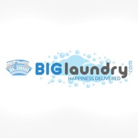 Big Laundry Services Pvt. Ltd Logo
