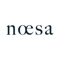 Noesa Logo