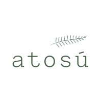 Atosú Leadership Institute Logo