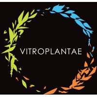 VITROPLANTAE Logo