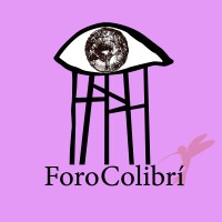 Volcán | Foro Colibrí Logo