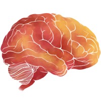 Cognitive Neuroscience Research Internship Logo