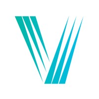 Visioneer Capital Logo